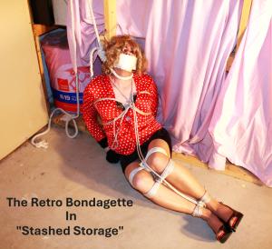www.joycealexander.net - Chapter 4: "Stashed Storage" - Slideshow/Photo Set - April 10 thumbnail