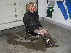 www.joycealexander.net - "Captive Politics" thumbnail