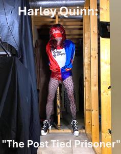 www.joycealexander.net - Harley Quinn: "The Post Tied Prisoner", Part I - Pics/Slideshow - July 11 thumbnail