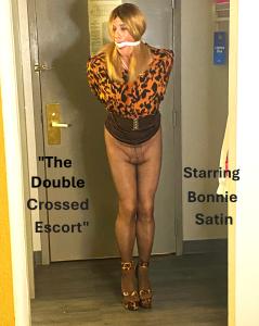 www.joycealexander.net - "The Double Crossed Escort" - Bonnie Satin - Compilation Pics/Slide - June 8 thumbnail