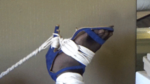 www.joycealexander.net - "Hogtie Hotel", Part II - With Tiffany Fine - Video/Pic Set - July 25 thumbnail