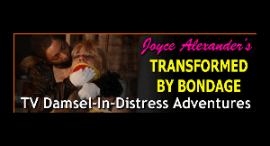 www.joycealexander.net - "The Painter's Prisoner": Act II, Part II - Video - April 22 thumbnail