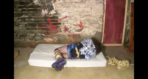 www.joycealexander.net - "The Kissing Conniver - The Complete Video/Photo Compilation - Sept 28 thumbnail